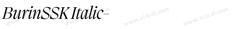BurinSSK Italic字体转换 BurinSSK Italic字体转换